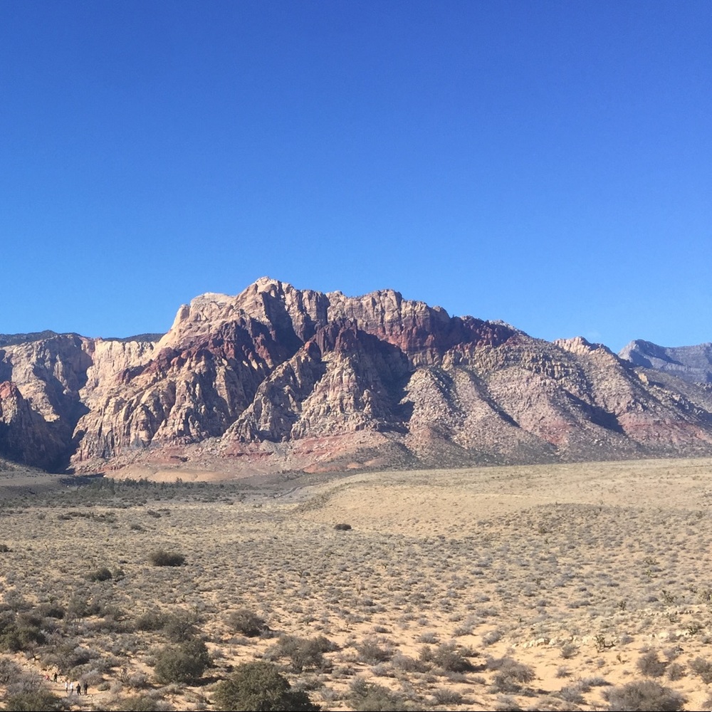 Meet your Posher, Hugo